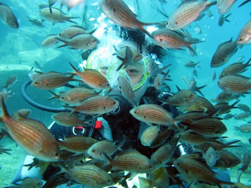Santorini: Scuba Diving Experience for Beginners - Meeting Points and Practical Details