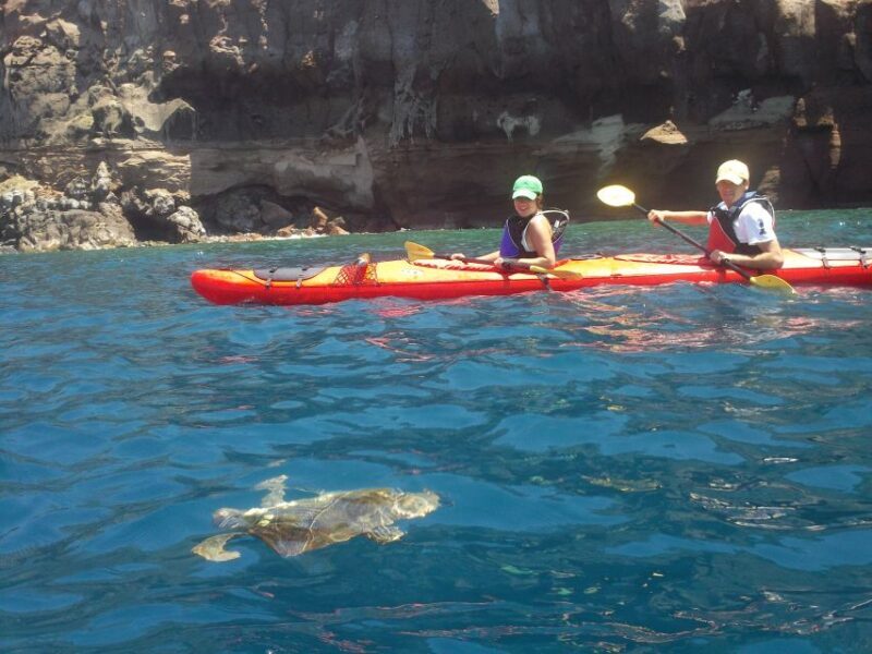 Santorini: South Sea Kayaking Tour with Sea Caves and Picnic - FAQs