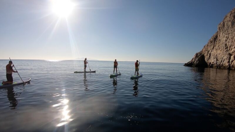 Santorini: Stand-Up Paddle and Snorkel Adventure - Who Will Love This Tour?