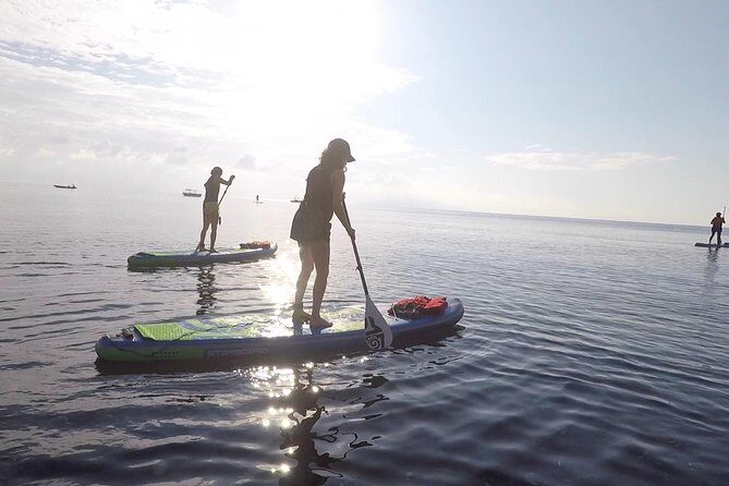 Santorini Stand-Up Paddle and Snorkel Adventure - What Travelers Are Saying
