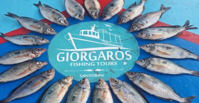 Santorini: Traditional Fishing Trip and Fresh Fish Lunch - A Highly Detailed Review