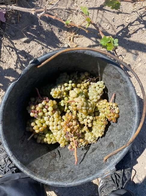 Santorini Wine & History Tour with 3 Expert Sommeliers - The Value of the Experience