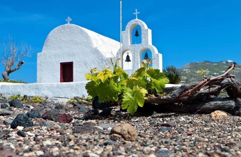 Santorini's "Wine Roads": Private Wine Tour With Tastings - Key Points