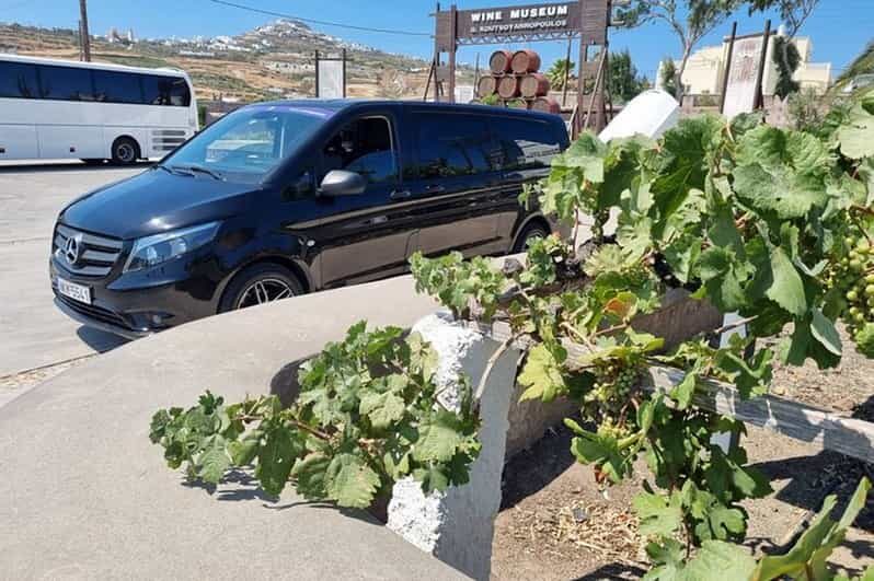 Santorini's "Wine Roads": Private Wine Tour With Tastings - An In-Depth Look at the Santorini Wine Roads Tour