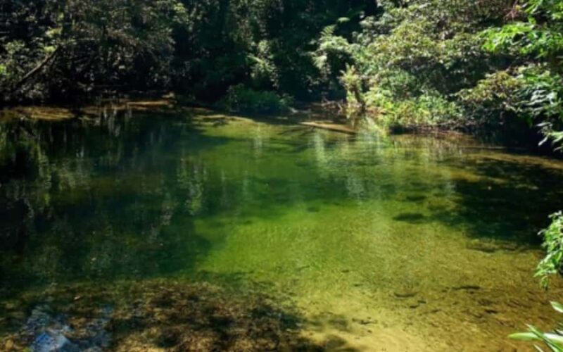 Santos: Guided Kayak Tour in the Heart of the State Park - Final Thoughts: Who Should Consider This Tour?