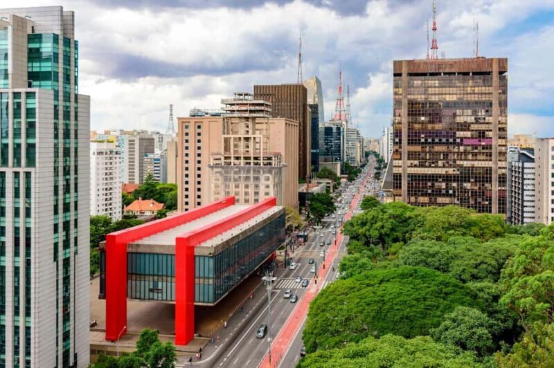 Santos Private Shore Excursion: Sao Paulo Full Day City Tour - Who Will Love This Tour?