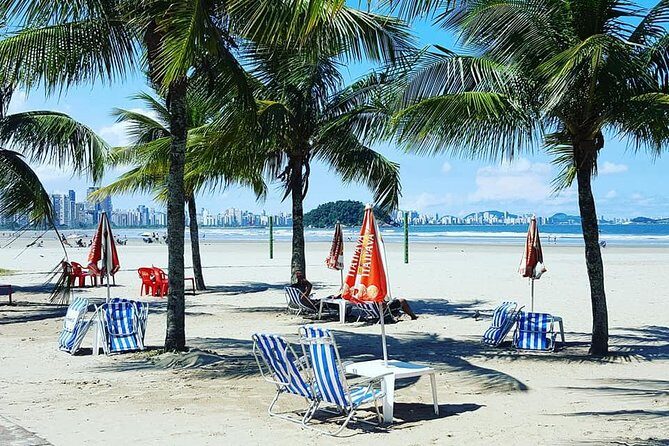 Santos Shore Excursion: Full Day City Tour and GRU Airport Transfer - Key Points