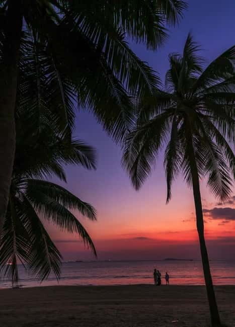 Sanya: Ancient Town, Sea Cliff & Giant Guanyin Cultural Tour - Why This Tour Works for Different Travelers