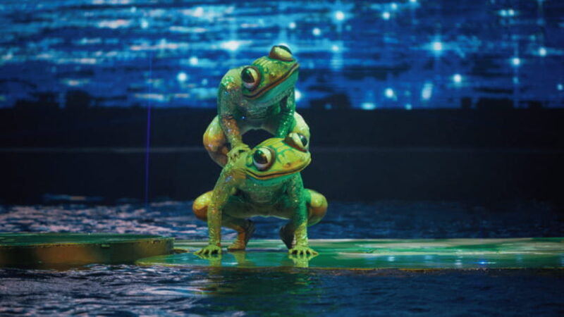 Sanya: Atlantis C Show Performance - A Deep Dive into the Atlantis C Show Performance