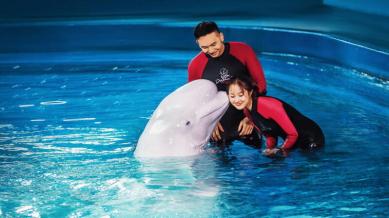 Sanya: Atlantis Lost Chambers Aquarium - Location and Overview