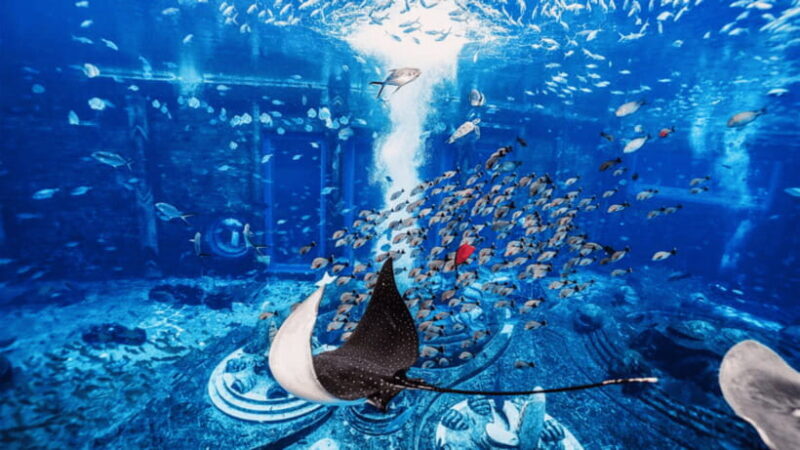 Sanya: Atlantis Lost Chambers Aquarium - The Experience and Its Highlights