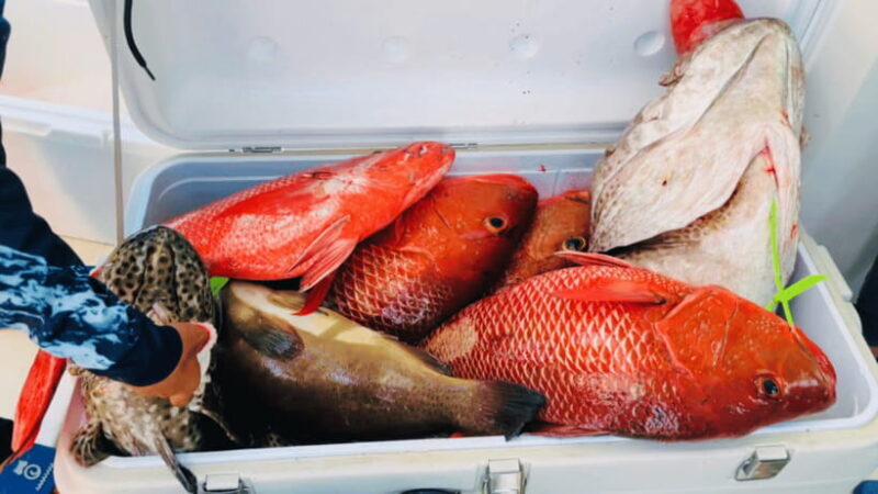 Sanya: Deep Sea Fishing Yacht Experience - Key Points