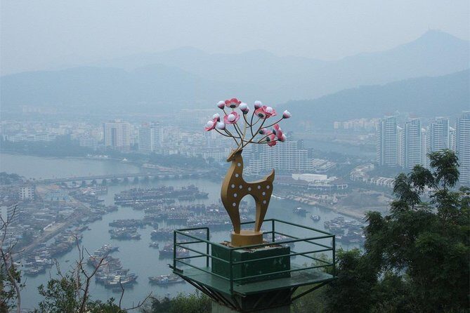 Sanya Shore Excursion: Sanya Luhuitou Park & Local Grocery Market visit - A Deep Dive into the Tour Experience