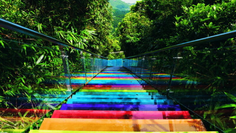 Sanya: Yalong Bay Tropical Forest Ticket and Tour Car - Practical Details for Visitors