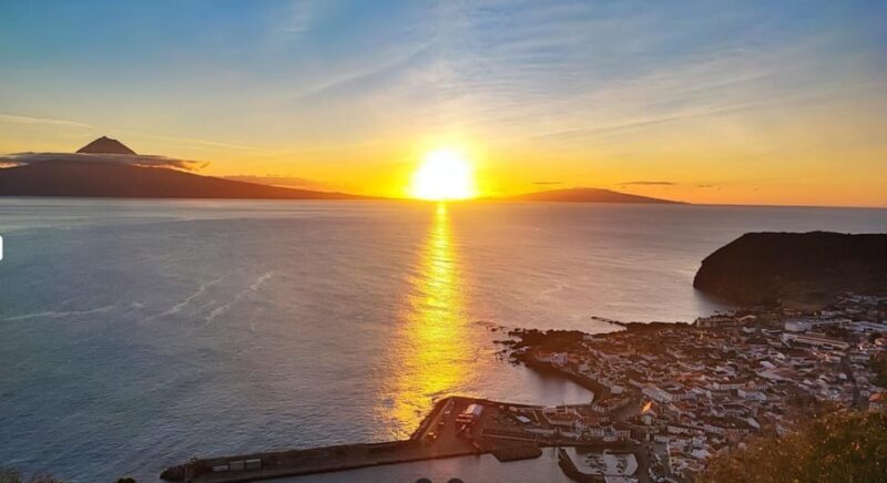 São Jorge: Island, Forest Reserve & Fajãs Guided Tour - A Deep Dive into São Jorge’s Best Experiences