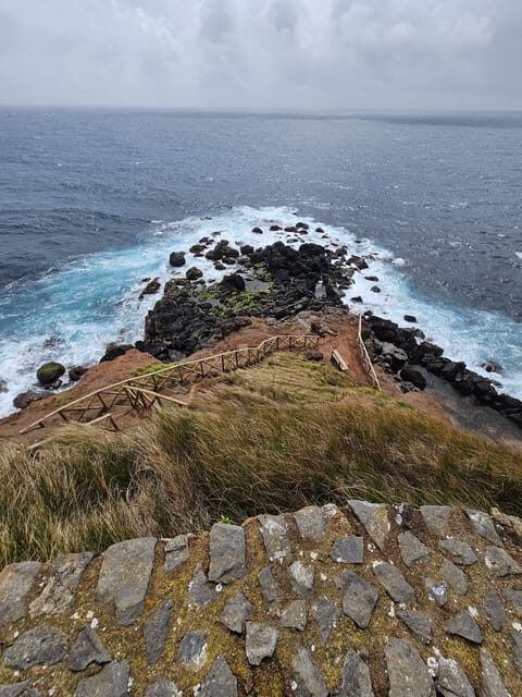 São Jorge: Island, Forest Reserve & Fajãs Guided Tour - Analyzing the Value