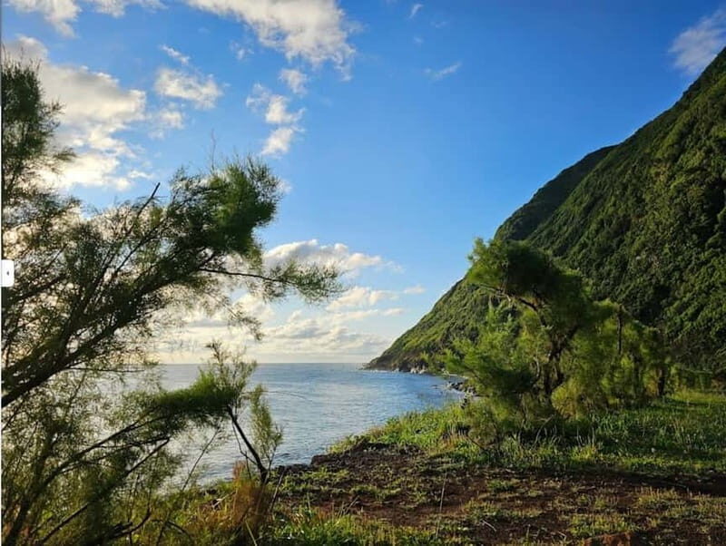 São Jorge Island Panoramic Adventure  4 Hour Tour - The Practical Details