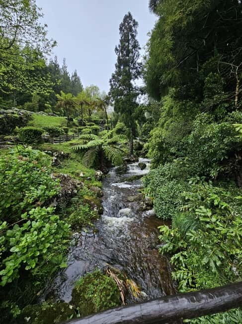 São Jorge Island Panoramic Adventure  4 Hour Tour - Authentic Experiences and Local Culture