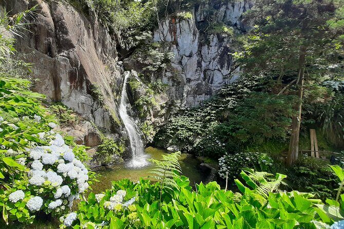 São Miguel Azores: Hike and Snorkeling into the wild with a local - Discover São Miguel: A Guided Hike and Snorkeling Adventure with a Local