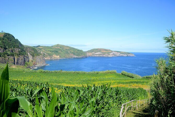 São Miguel Azores: Hike and Snorkeling into the wild with a local - Who Will Enjoy This Tour?