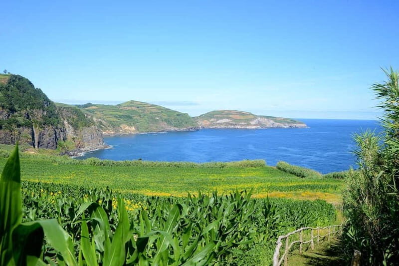 São Miguel Azores: Hike and Snorkeling with a local - Practical Details: What You Need to Know