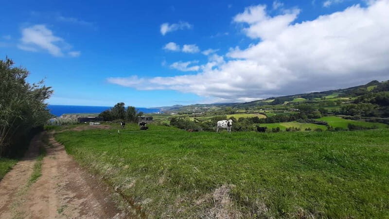 São Miguel Azores: Hike and Snorkeling with a local - Who Will Love It?