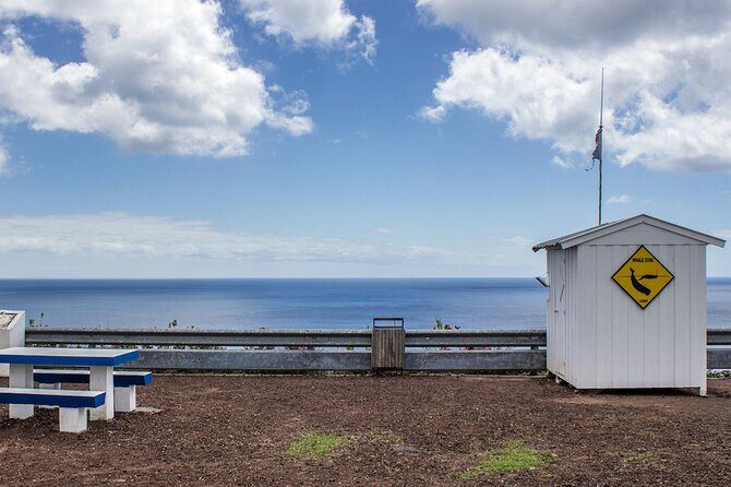 São Miguel: Azores Whaling Heritage Tour - The Marina of Vila Franca do Campo: Starting Point
