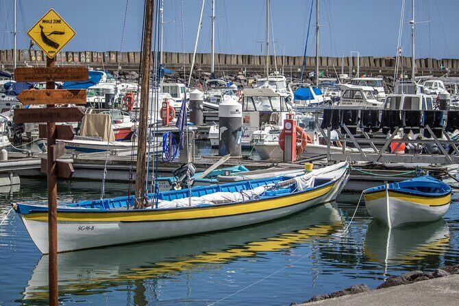 São Miguel: Azores Whaling Heritage Tour - Whaling Culture & History Presentation