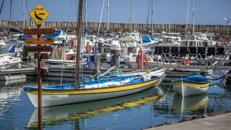 São Miguel: Azores Whaling Heritage Tour - Key Points