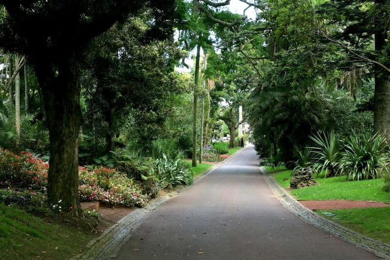 São Miguel: Botanical Gardens and Cave Tour - São Miguel: Botanical Gardens and Cave Tour — A Balanced Look at Nature’s Beauty and Geology