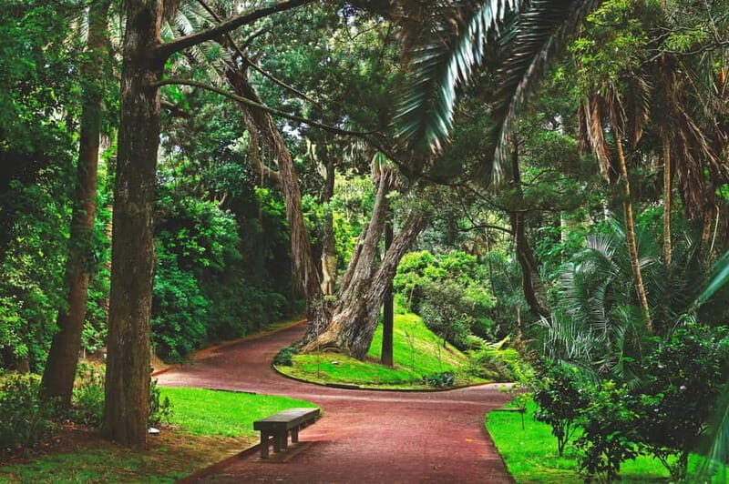 São Miguel: Botanical Gardens and Cave Tour - Who Will Love This Tour?