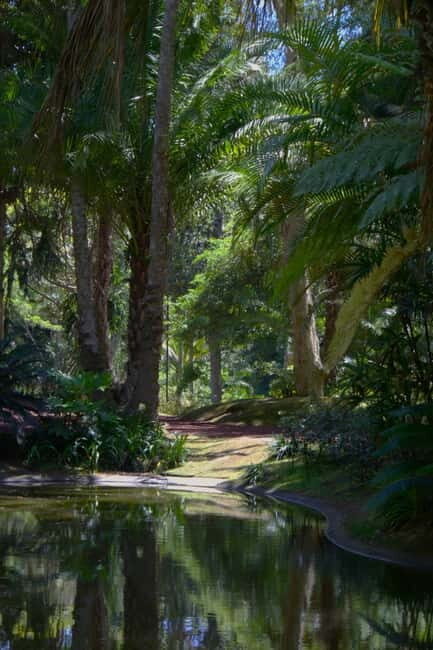 São Miguel: Botanical Gardens and Cave Tour - The Sum Up
