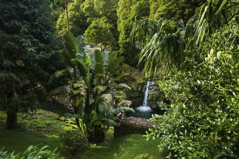 São Miguel East: Full-Day Van Tour with Lunch - The Verdict