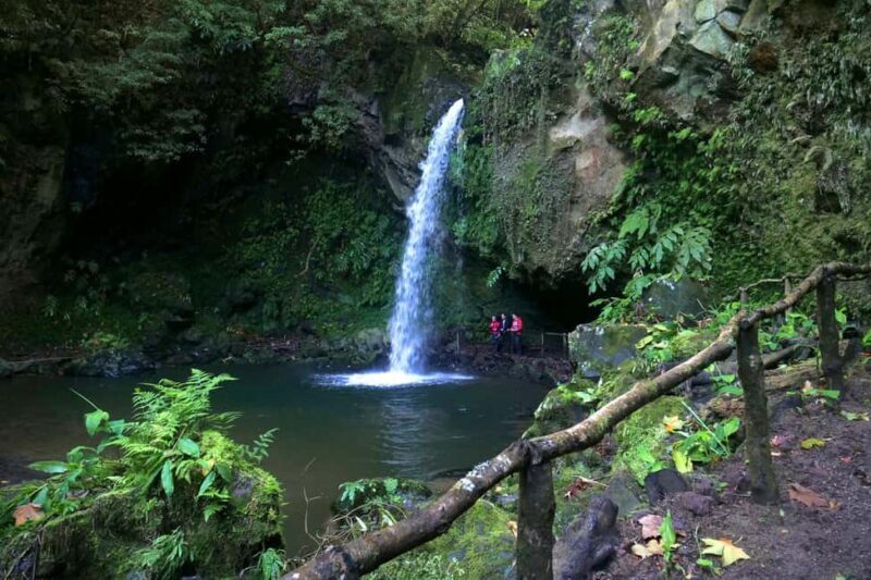 São Miguel: Félix Waterfalls Hike & North Coast Private Tour - Final Thoughts: Who Is This Tour Best For?