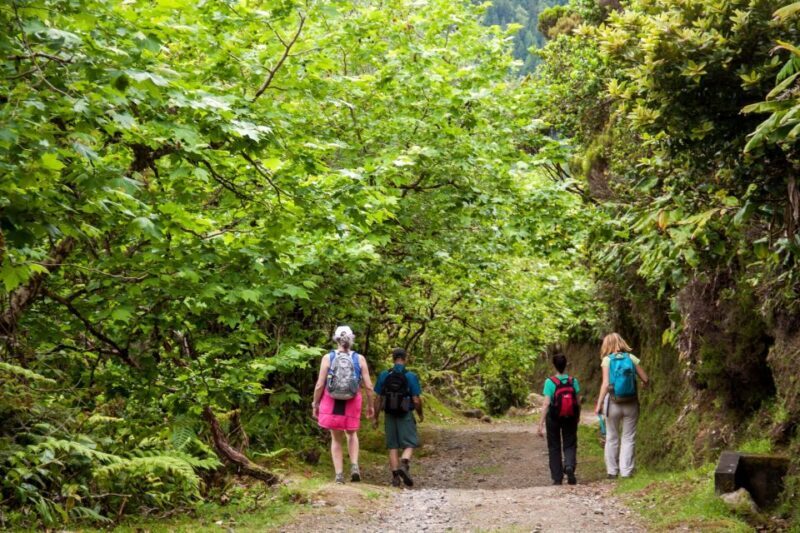 São Miguel: Full-Day Hike to Lagoa do Fogo - Final Thoughts