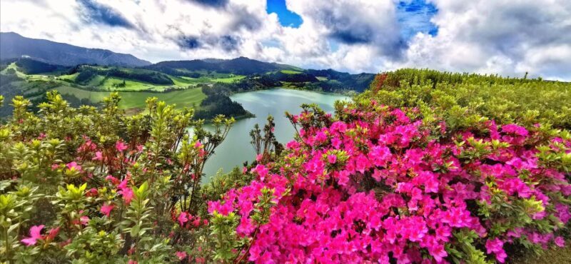 São Miguel: Furnas and Nordeste Full-Day Tour with Lunch - Who Should Consider This Tour?