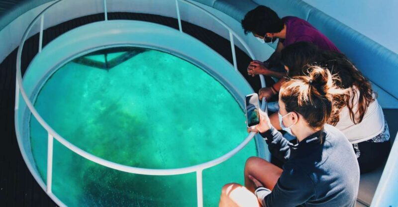 São Miguel: Glass Bottom Boat Tour with Snorkeling - A Deep Dive into the Experience: What to Expect from Start to Finish