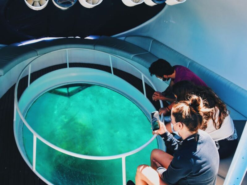 São Miguel: Glass Bottom Boat Tour with Snorkeling - Why This Tour Offers True Value