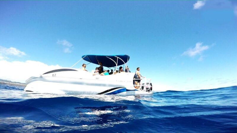 São Miguel: Glass Bottom Boat Tour with Snorkeling - A More Detailed Look at the Trip