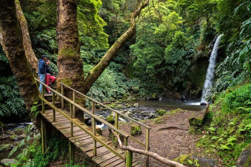 São Miguel Island: Chasing Waterfalls in the Azores Tour - Who Will Enjoy This Tour?