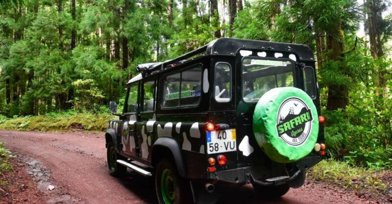 São Miguel Island: Full Day Furnas and Furnas Lake Tour - An In-Depth Look at the São Miguel Furnas and Furnas Lake Tour