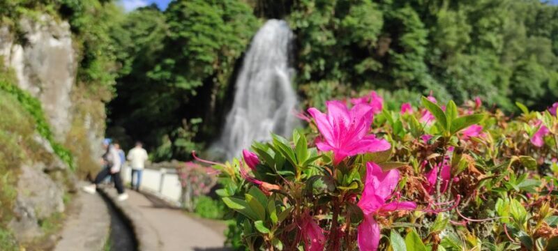 São Miguel Island on Jeep - Who Should Consider This Tour?