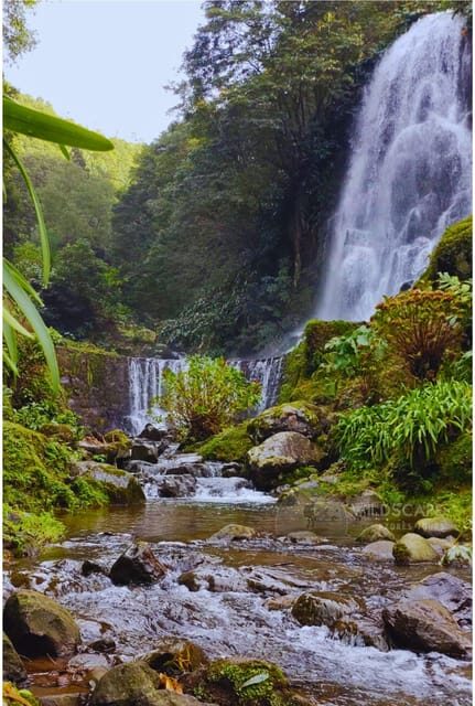 São Miguel: Majestic North Tour (Waterfalls w/Lunch) - Exploring São Miguel’s Northern Wonders: A Detailed Review of the Majestic North Tour