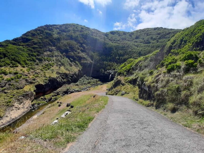 São Miguel: Moinho do Felix Hike with Tea Factory Visit - Practical Details and Value