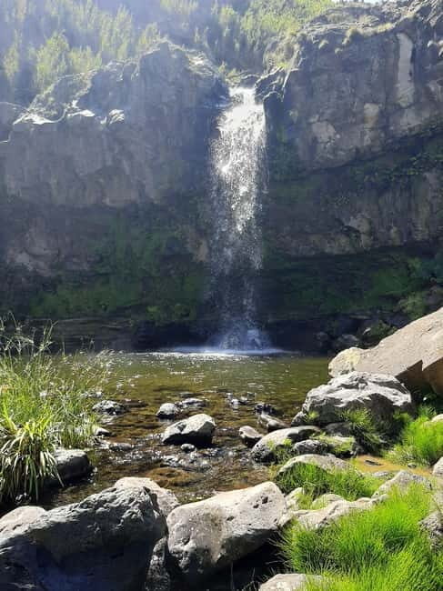 São Miguel: Moinho do Felix Hike with Tea Factory Visit - Who Would Love This Tour?