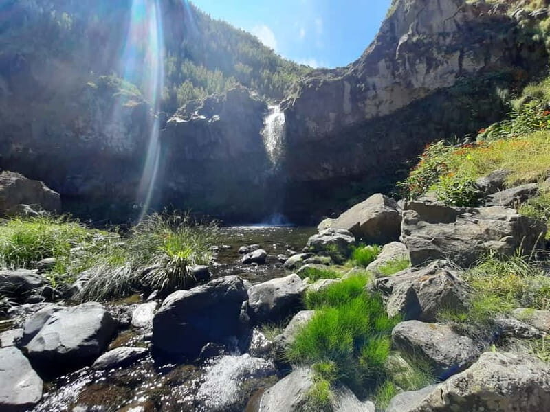 São Miguel: Moinho do Felix Hike with Tea Factory Visit - Final Thoughts