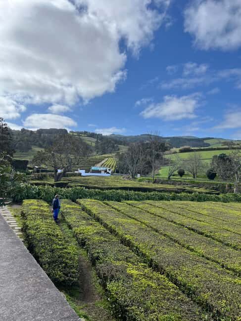 São Miguel: Nordeste Tour with Cow Milking - Exploring the Nordeste Tour in Detail