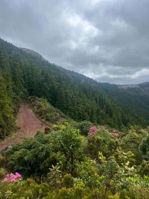 São Miguel: Nordeste Tour with Cow Milking - Final Thoughts: A Genuine Window into Nordeste
