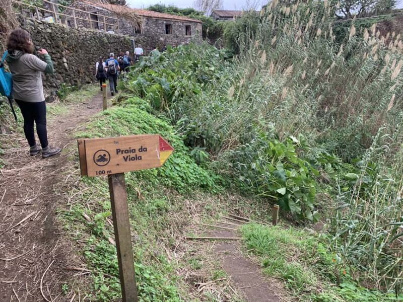 São Miguel: North Coast Private Tour & Hike - Practical Details & Tips