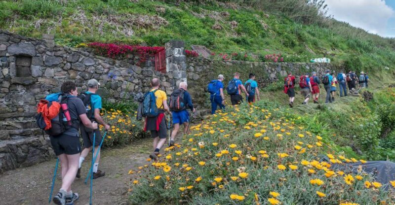 São Miguel: Ribeira Funda Hike & Tea Plantation with Lunch - Final Thoughts